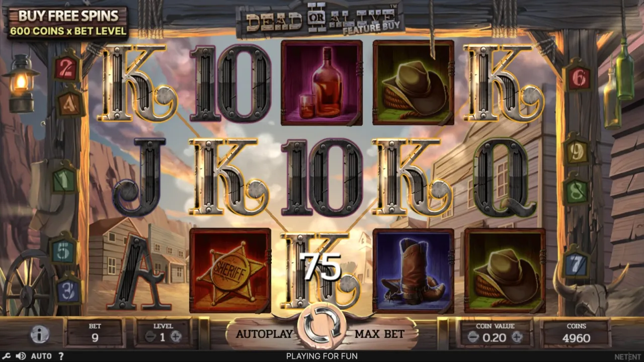 Dead or Alive 2 slot